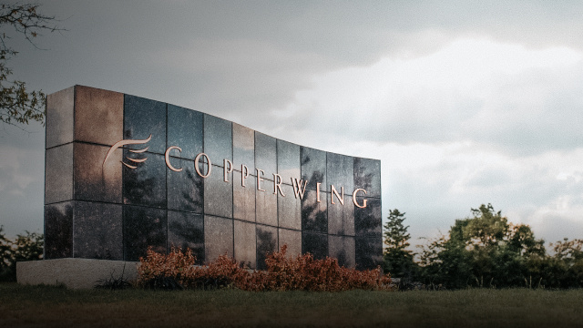 Eastgate Grußkarte 'Copperwing' Von Anne Stokes – Fantasy-Motiv, Mehrfarbig, Mit Umschlag